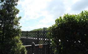 Noah'S Ark Hotel & Resort